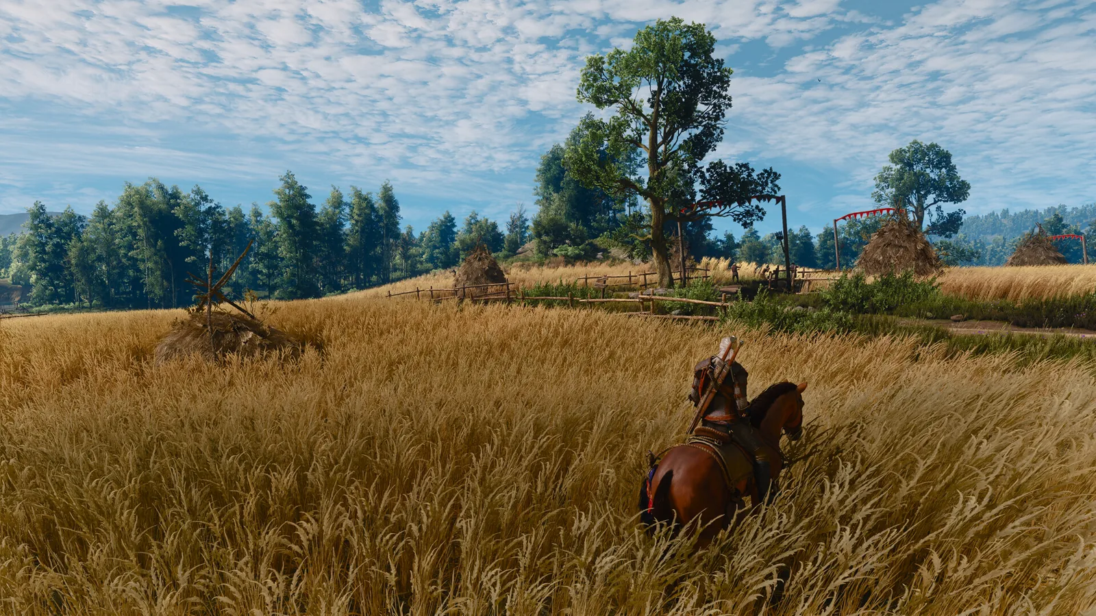Official open-world travel screenshot used for the Witcher 3 quest order guide